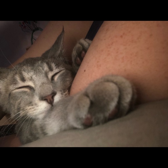 Meet your Posher, Amanda - Picture 1 of 1